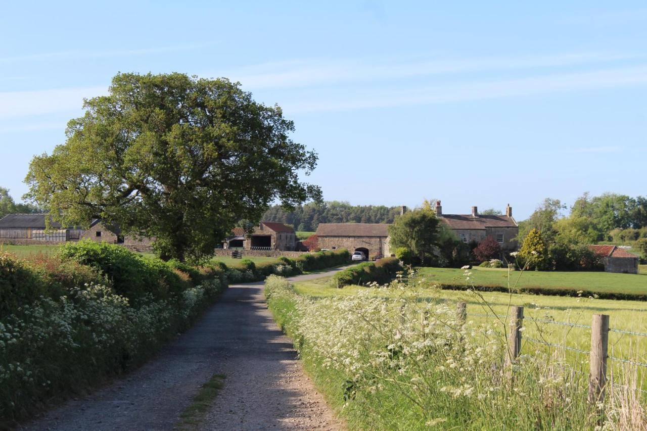 Mallard Grange B&B Ripon Dış mekan fotoğraf